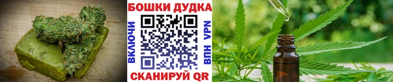 omg зеркало  Вольск  Canna-Cookies конопля  наркошоп 