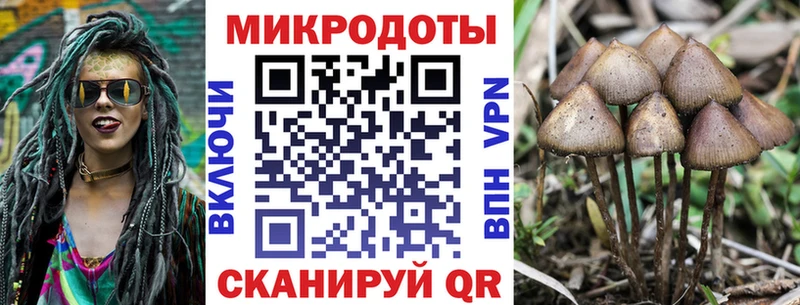 shop какой сайт  Вольск  Галлюциногенные грибы MAGIC MUSHROOMS  купить наркотики цена 