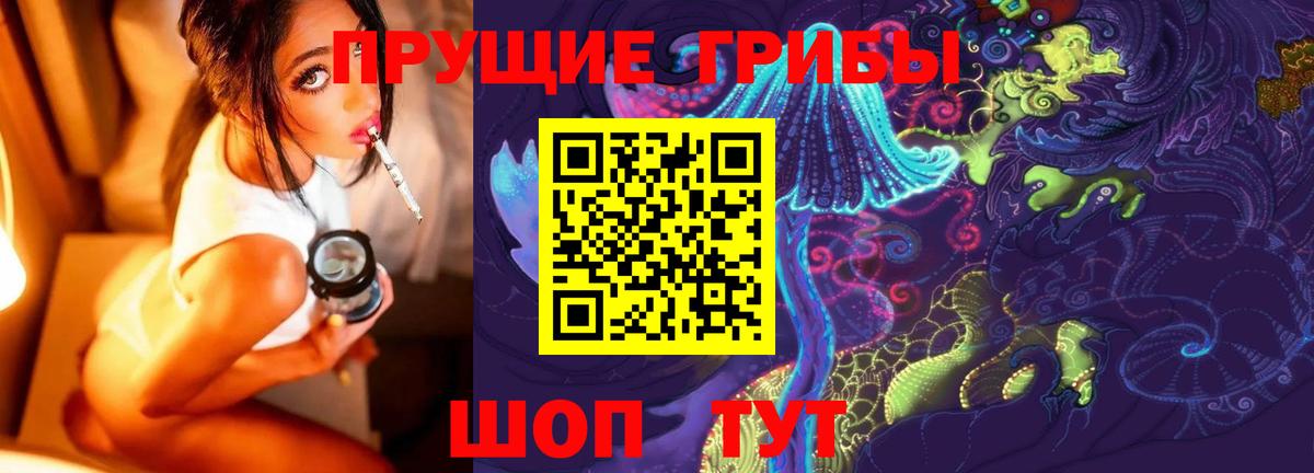 где найти   Вход с VPN  Вольск  Галлюциногенные грибы Psilocybine cubensis 